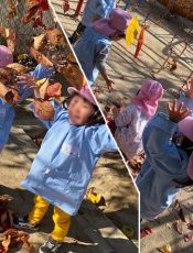 落ち葉拾い　令和２（2020）年11月12日