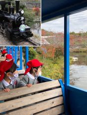 園外保育〈秋の遠足〉　令和２（2020）年11月６日