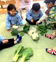 野菜を覚えよう！〈１歳児〉 令和３（2021）年２月17日