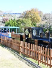 遠足･東条湖おもちゃ王国　令和４（2022）年11月18日