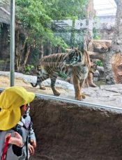 園外保育｢神戸どうぶつ王国｣　令和４（2022）年11月29日