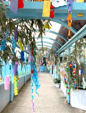 七夕飾り製作  令和５（2023）年６月12~19日