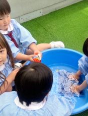 お手伝い遊び  令和６（2024）年５月８日