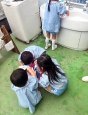 お手伝い遊び  令和６（2024）年５月13日