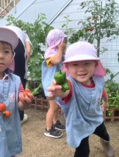 虫や野菜の成長を見守る子どもたち〈２歳〉