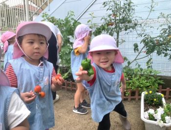 虫や野菜の成長を見守る子どもたち〈２歳〉