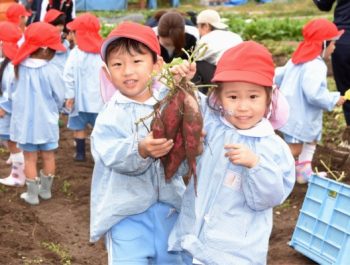 お芋掘り　令和６（2024）年10月29日