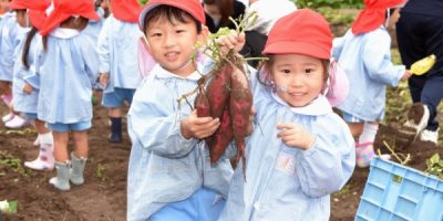 お芋掘り　令和６（2024）年10月29日