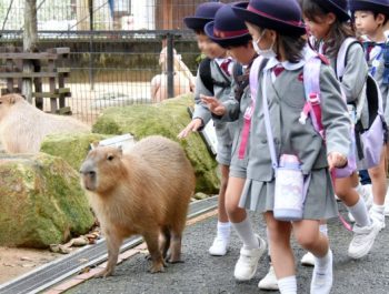 遠足･姫路セントラルパーク　令和６（2024）年10月25日