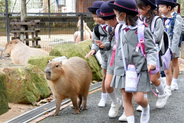 遠足･姫路セントラルパーク　令和６（2024）年10月25日