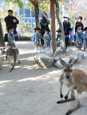 イエロークラス「遠足」 令和６（2024）年11月25日