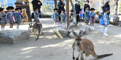 イエロークラス「遠足」 令和６（2024）年11月25日